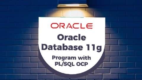 آموزش Oracle Database 11g: Program PL/SQL (1Z0-144) Practice Exams 