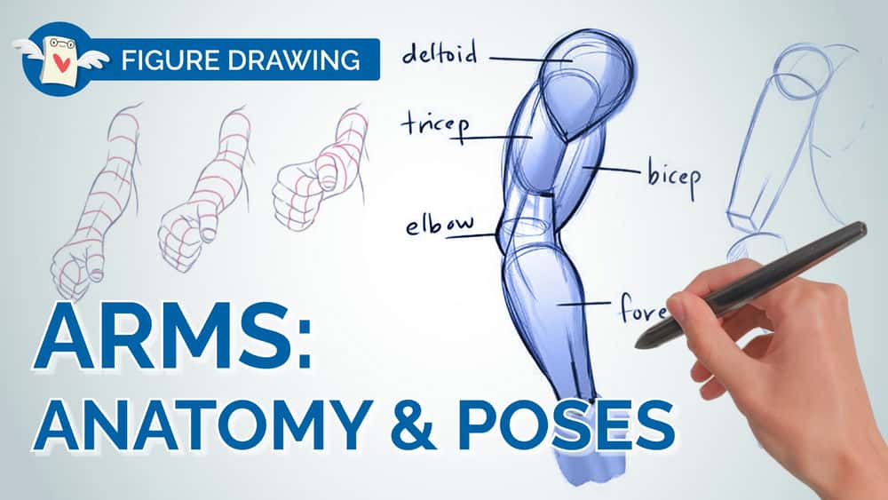 آموزش تسلط بر ARMS در طراحی شکل - از آناتومی تا کوتاه‌سازی