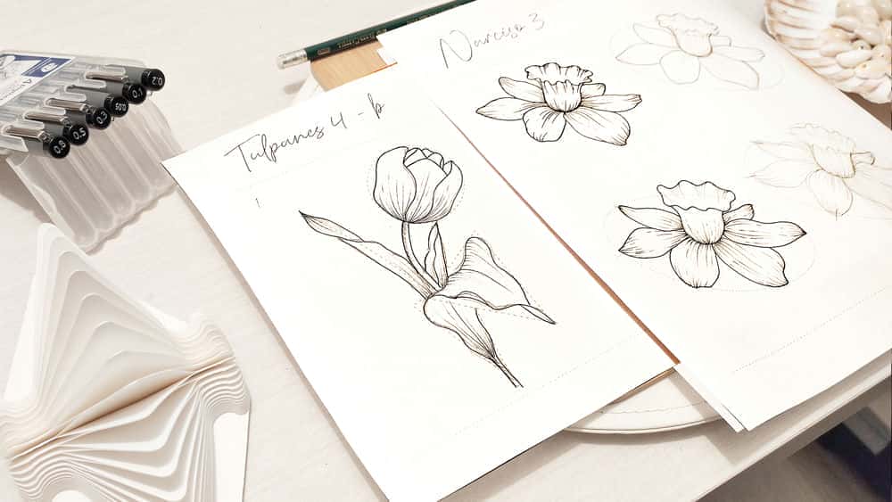 آموزش Ilustración Botánica : Aprende a dibujar flores desde formas simples hasta un dibujo más realista