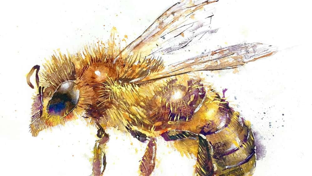 آموزش نحوه نقاشی زنبور عسل در آبرنگ: نقاشی گام به گام سرگرم کننده و آسان با استفاده از تکنیک های بیانی و اساسی