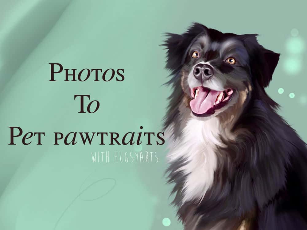 آموزش با نحوه تبدیل عکس های حیوان خانگی به پرتره حیوانات خانگی در Procreate آشنا شوید