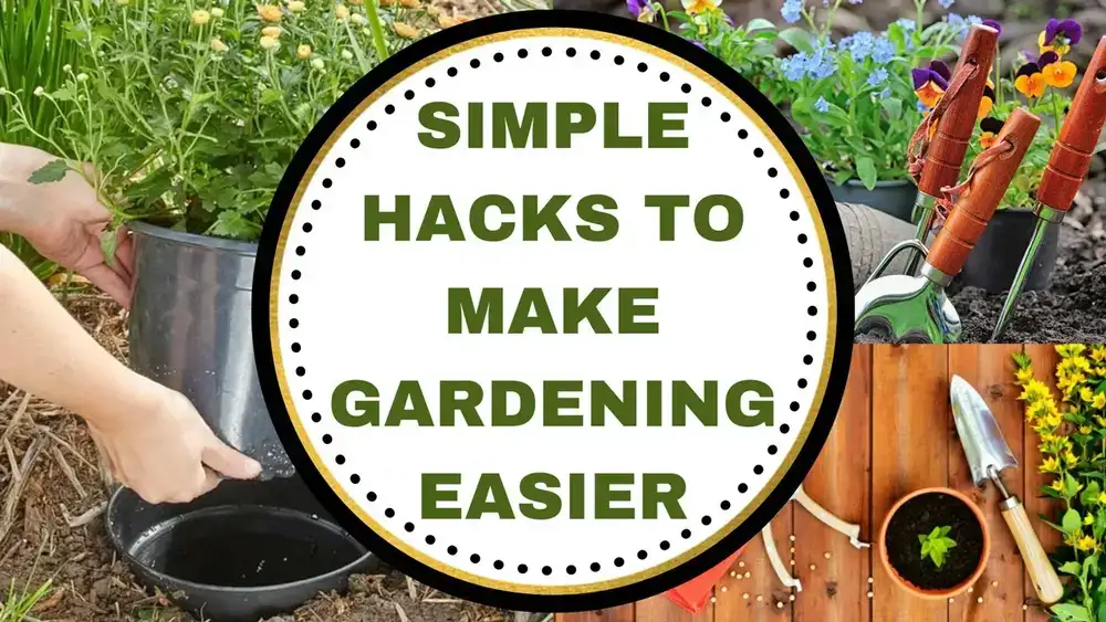 آموزش هک های ساده برای آسان تر کردن باغبانی