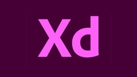 آموزش اصول اولیه Adobe XD 2021 