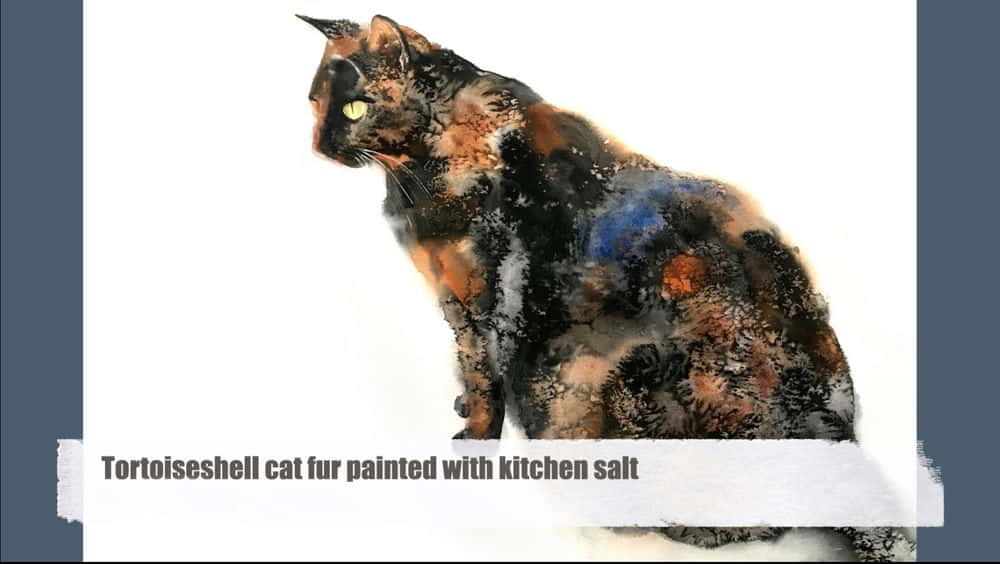 خز گربه لاک پشت نقاشی شده با نمک آشپزخانه - آموزش آبرنگ مرطوب روی خیس