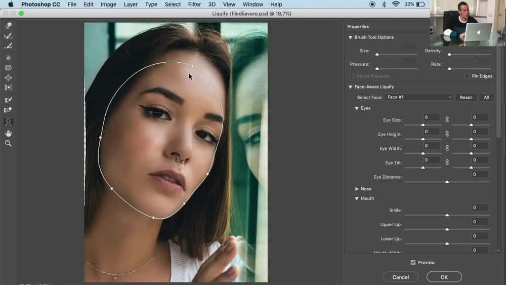 Adobe Photoshop 2019: آموزش روتوش حرفه ای پوست و فیلتر مایع