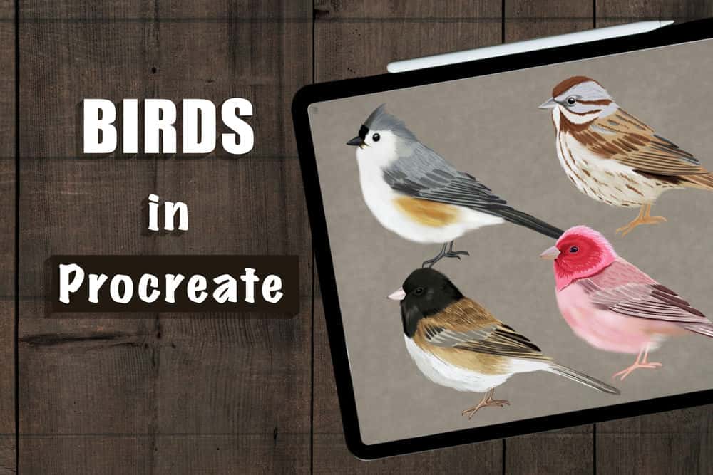 آموزش تصویرسازی پرندگان در نسل