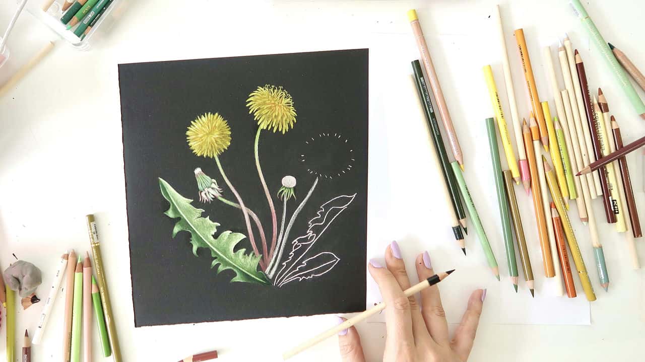 آموزش با من نقاشی کن: ​​علف های هرز و گل های وحشی