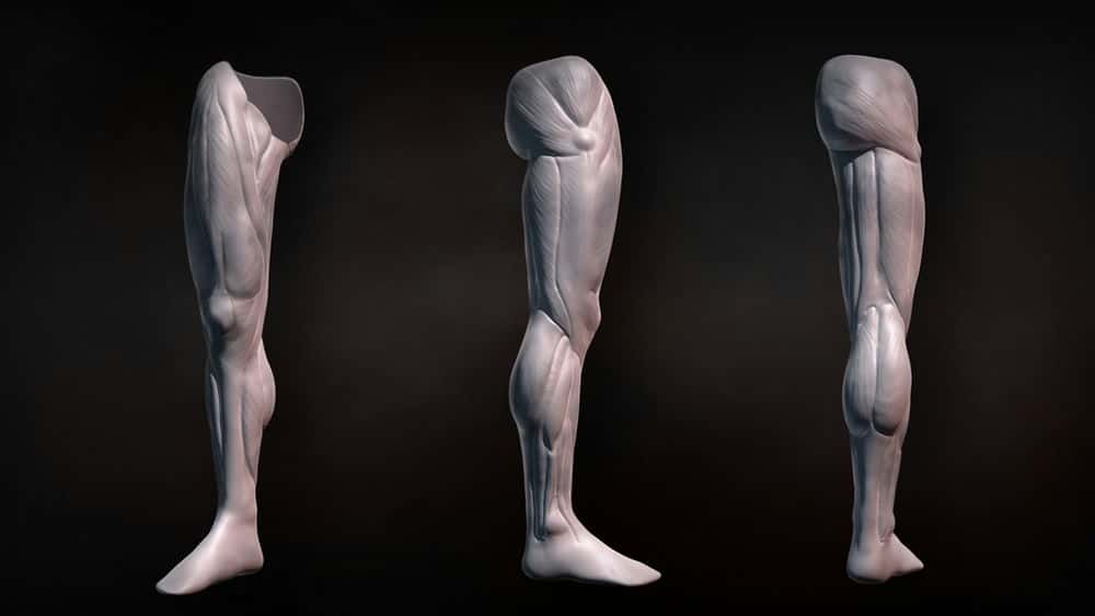 آموزش مجسمه سازی پای انسان در ZBrush 