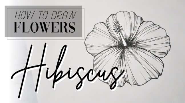 آموزش چگونه گل بکشیم | هیبیسکوس