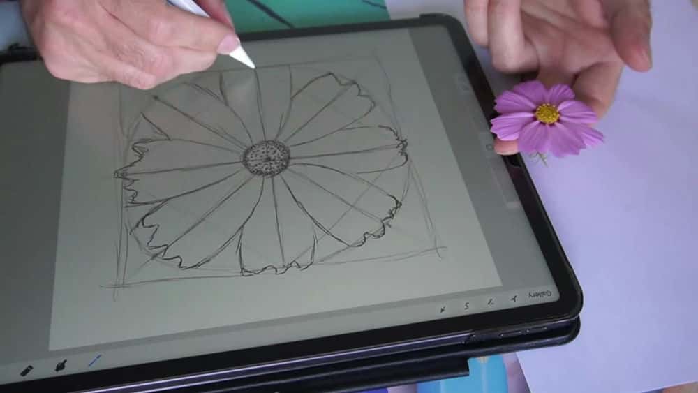 آموزش طراحی و نقاشی گل کیهان در Procreate 5x با براش ها و مراجع رایگان