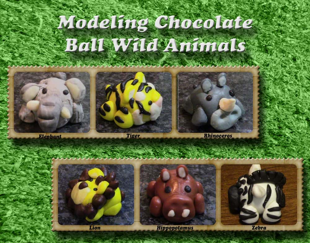 آموزش مدلینگ شکلاتی وحشی کیک تاپر