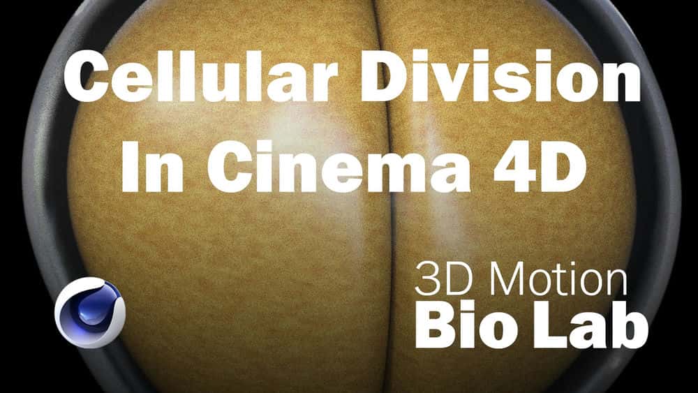 آموزش بخش سلولی با فیلدها و حجم ساز در سینمای 4 بعدی