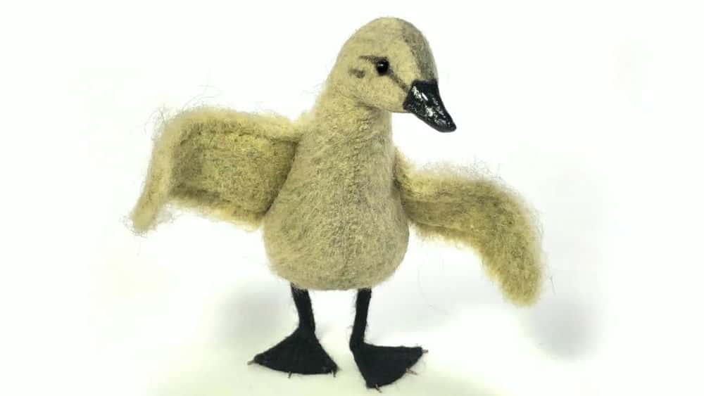 آموزش حیوانات موروثی: راه را برای جوجه اردک باز کنید!