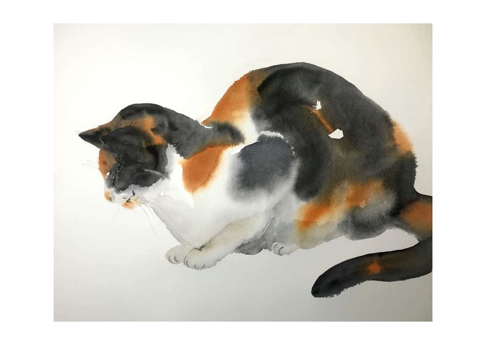 آموزش از نقاشی گربه ها لذت ببرید در حالی که یاد می گیرید از آبرنگ استفاده کنید!