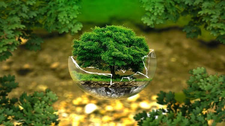 آموزش مدیریت محیط زیست و اکولوژی