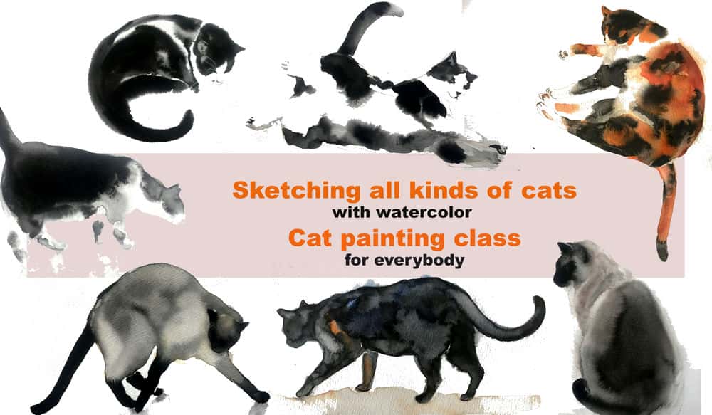 آموزش طراحی انواع گربه با آبرنگ - کلاس نقاشی گربه برای همه