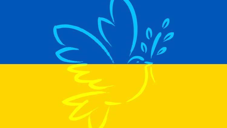 آموزش برای اوکراین