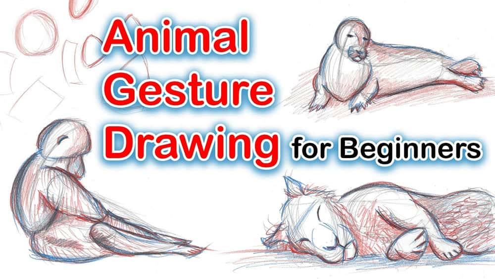 آموزش طراحی برای مبتدیان: یاد بگیرید که حیوانات را ترسیم کنید و ژست آنها را ثبت کنید