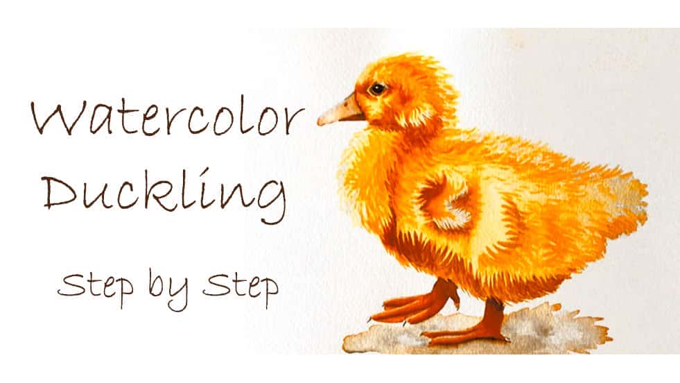 آموزش نقاشی بافت های طبیعت با آبرنگ: جوجه اردک کرکی