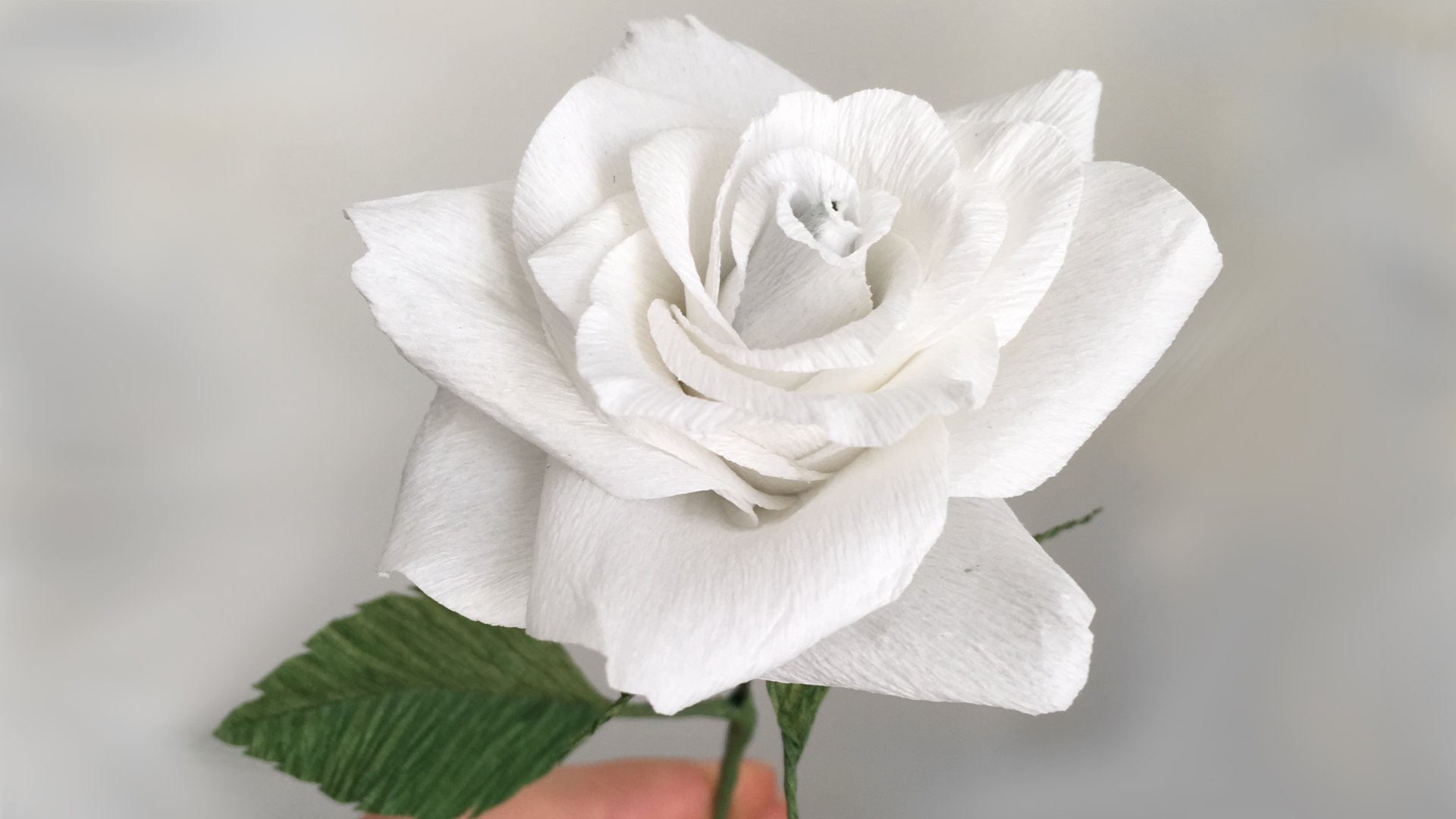 آموزش یک گل رز کاغذی واقعی بسازید