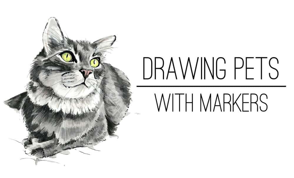 آموزش نقاشی حیوانات خانگی با نشانگر
