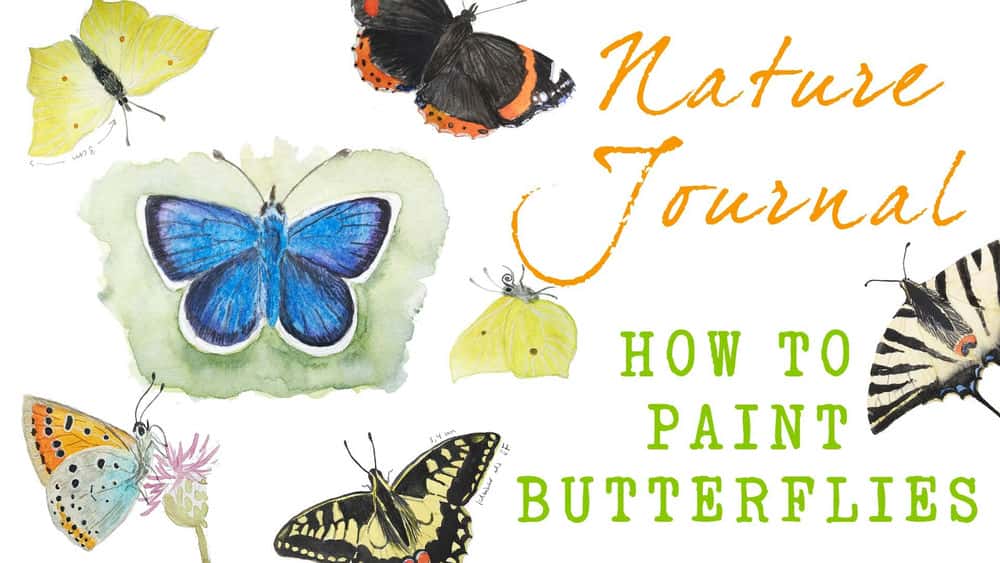 آموزش چگونه پروانه ها را بکشیم - تکنیک های اساسی برای طراحی و نقاشی پروانه ها
