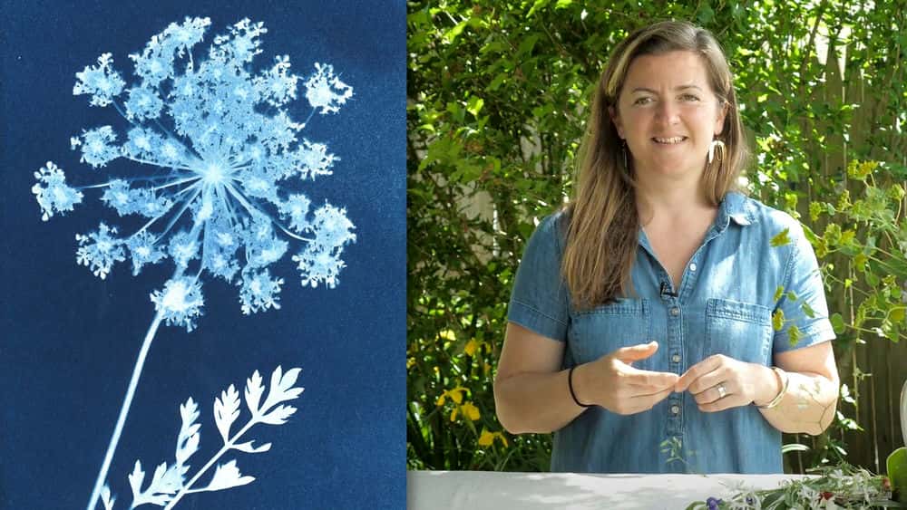آموزش مقدمه ای بر سیانوتیپ ها: ایجاد چاپ های گیاهی زیبا با سهولت