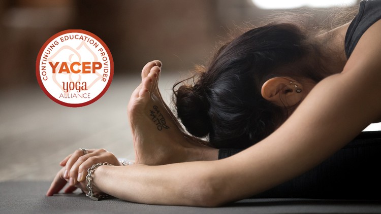 گواهی آموزش یین یوگا - Yoga Alliance YACEP