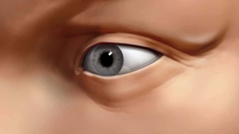 آموزش مجسمه سازی چشم انسان در ZBrush 
