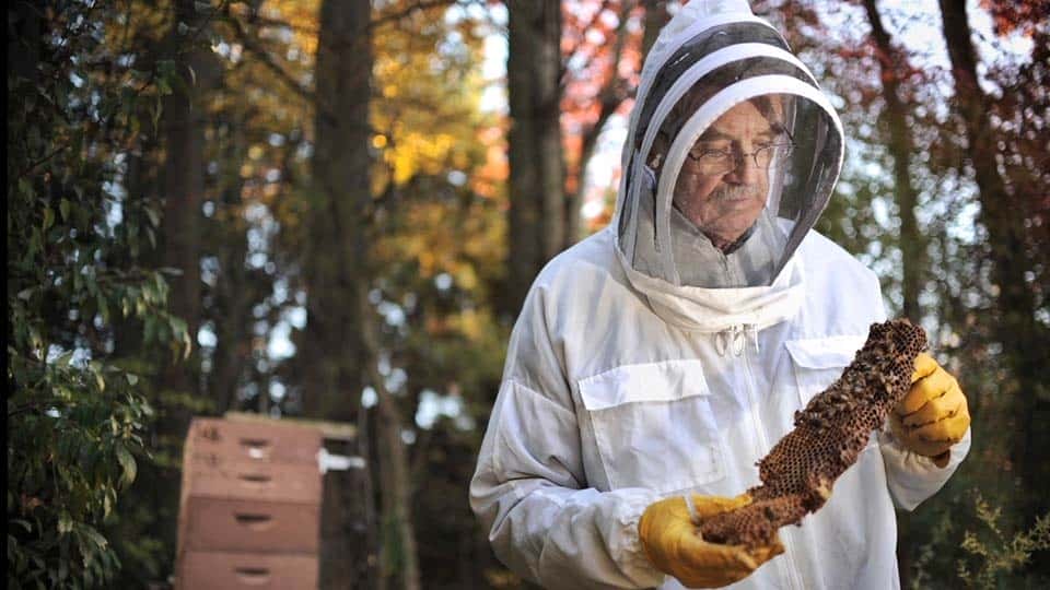 آموزش نورپردازی با فلش: پرتره یک زنبوردار و زنبورهای او 