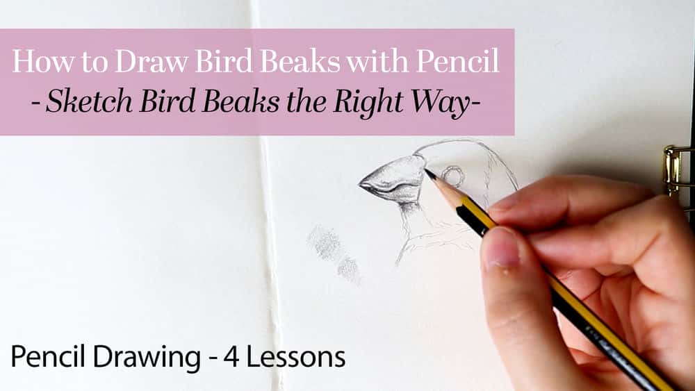 آموزش نحوه کشیدن منقار پرنده با مداد | راهنمای گام به گام برای مبتدیان