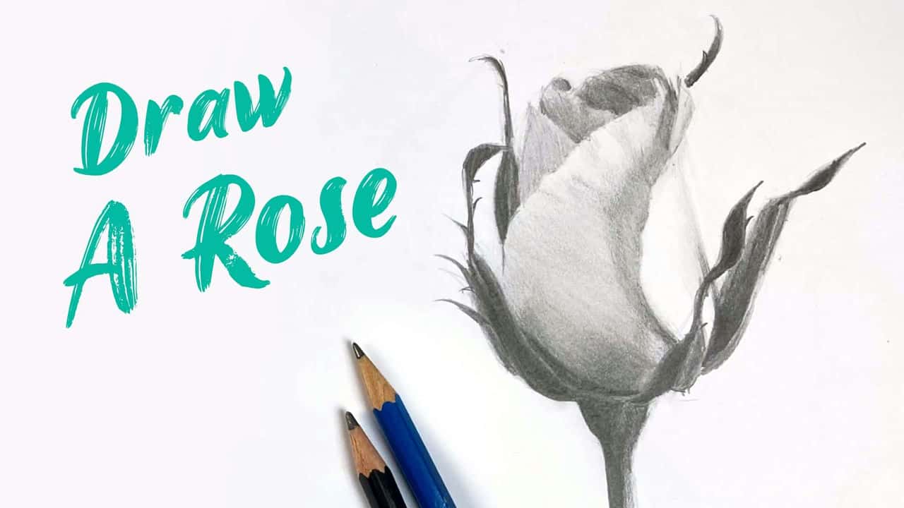 آموزش یک گل رز را طراحی کنید و سایه بزنید: مهارت های سایه زدن خود را بهبود بخشید