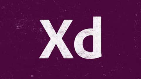 آموزش Adobe XD | راهنمای نهایی