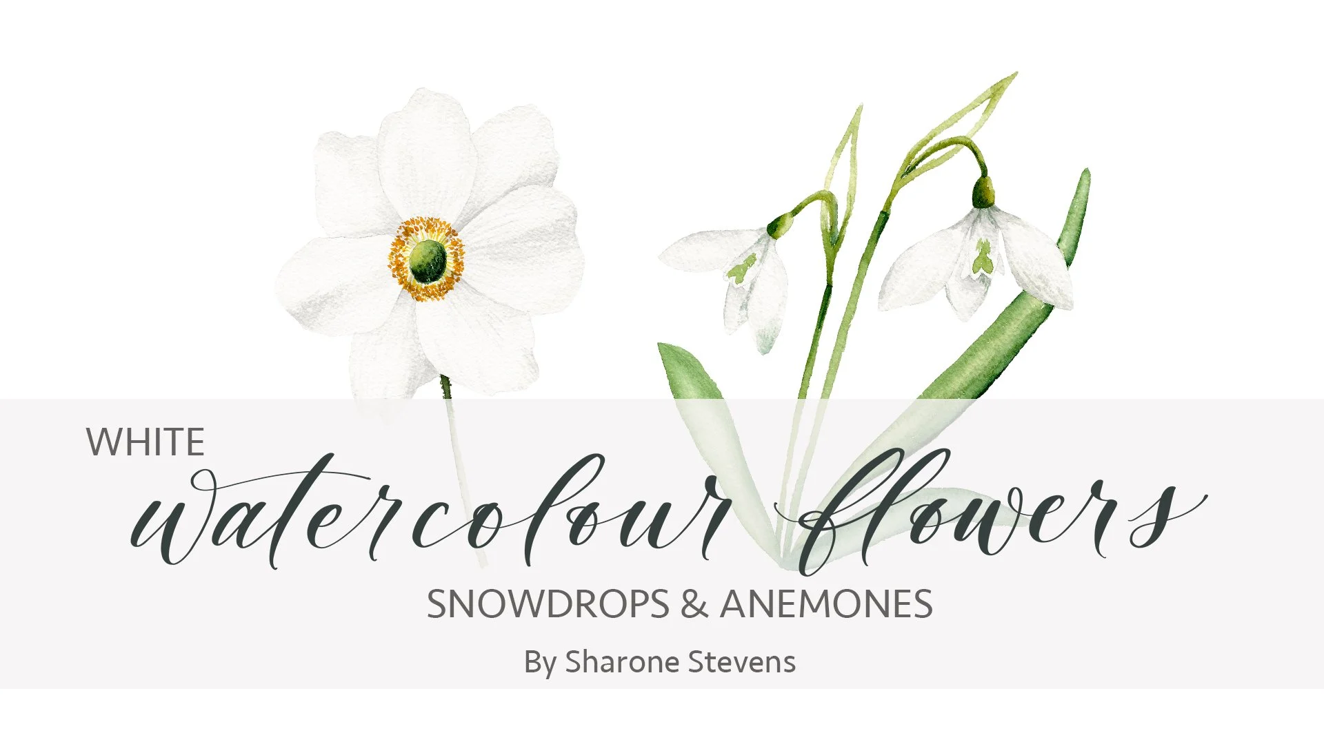 آموزش آبرنگ: نحوه رنگ آمیزی گل های سفید