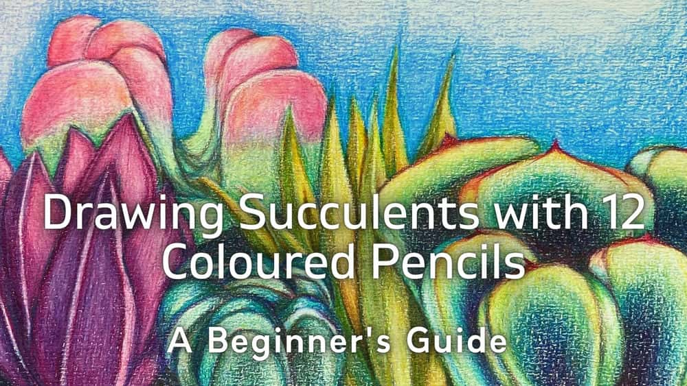 آموزش طراحی ساکولنت با 12 مداد رنگی: راهنمای مبتدیان