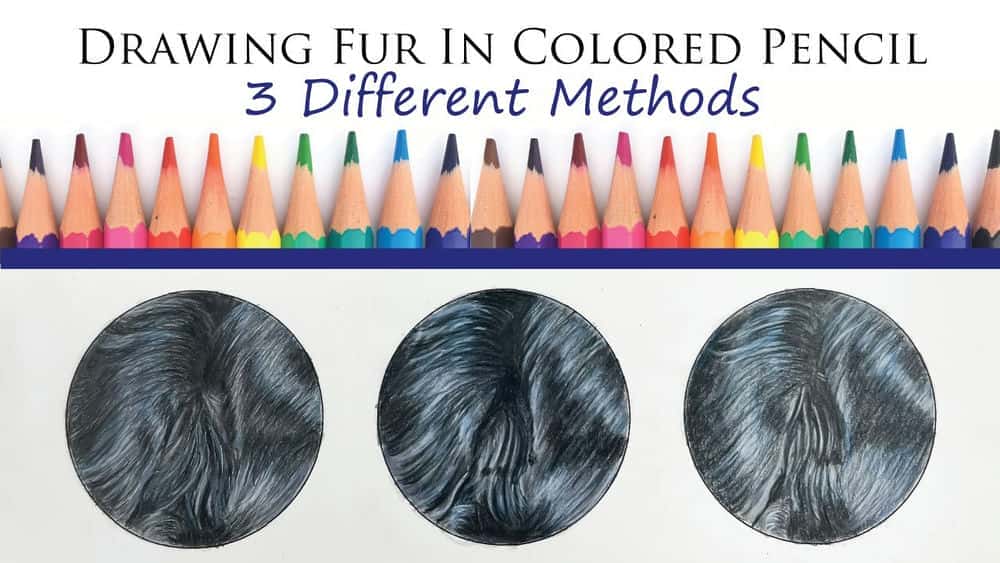 آموزش طراحی خز با مداد رنگی - با استفاده از 3 روش مختلف