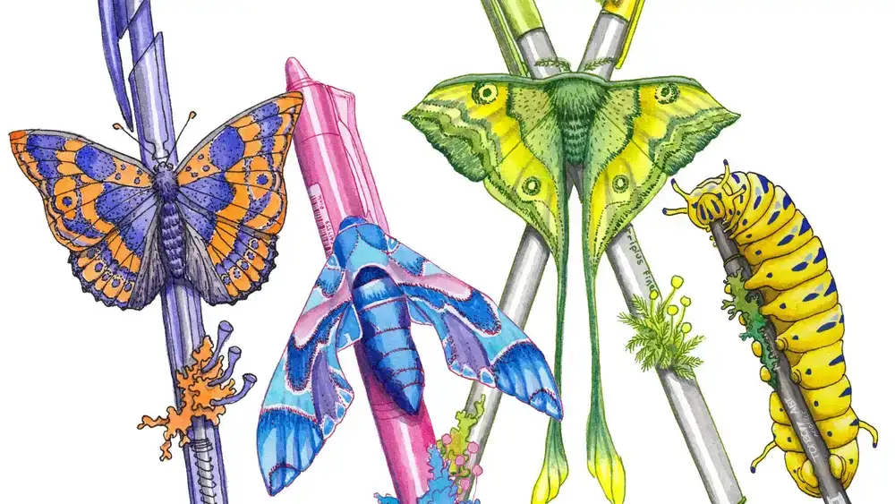 آموزش نحوه رنگ آمیزی پروانه ها، پروانه ها و کرم ها - طراحی با جوهر، نقاشی با آبرنگ، آسان و سرگرم کننده