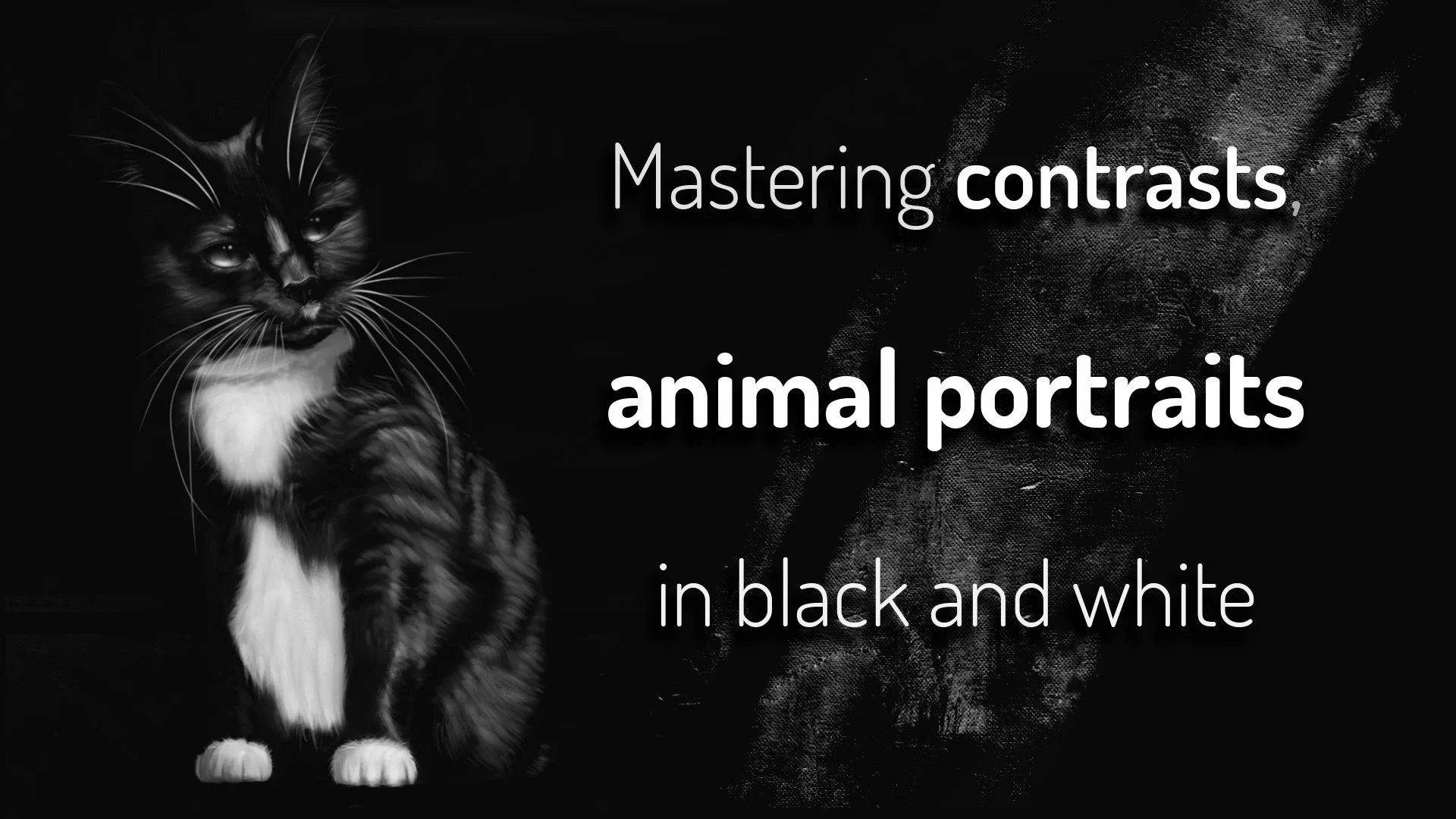 آموزش تسلط بر کنتراست ها، پرتره های حیوانات سیاه و سفید (نقاشی دیجیتال)
