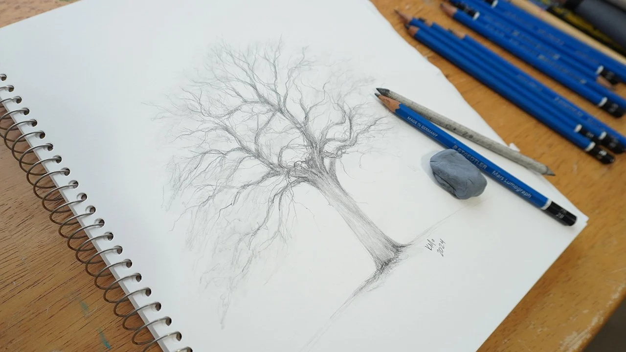 آموزش ترسیم درختان برگریز: تمرین طراحی با مداد