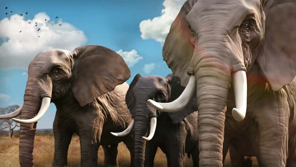 آموزش مجسمه سازی یک فیل واقع گرایانه در ZBrush 