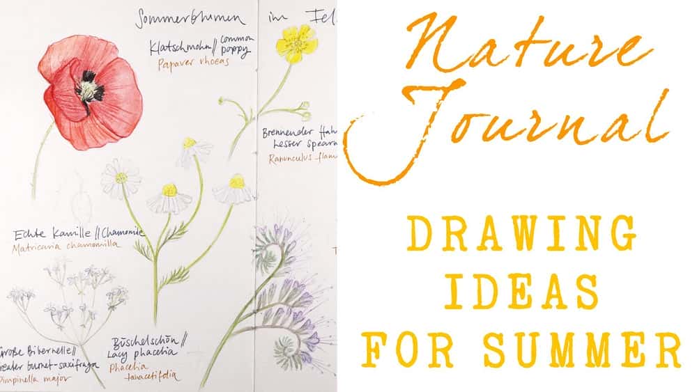 آموزش مجله طبیعت: ایده های طراحی برای تابستان