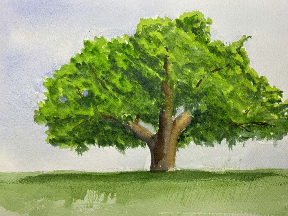 آموزش درختان و شاخ و برگ واقعی در آبرنگ اثر واسو ساهو