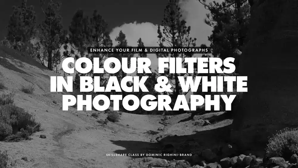 آموزش عکاسی سیاه و سفید: استفاده از فیلترهای رنگی برای بهبود فیلم و تصاویر دیجیتال