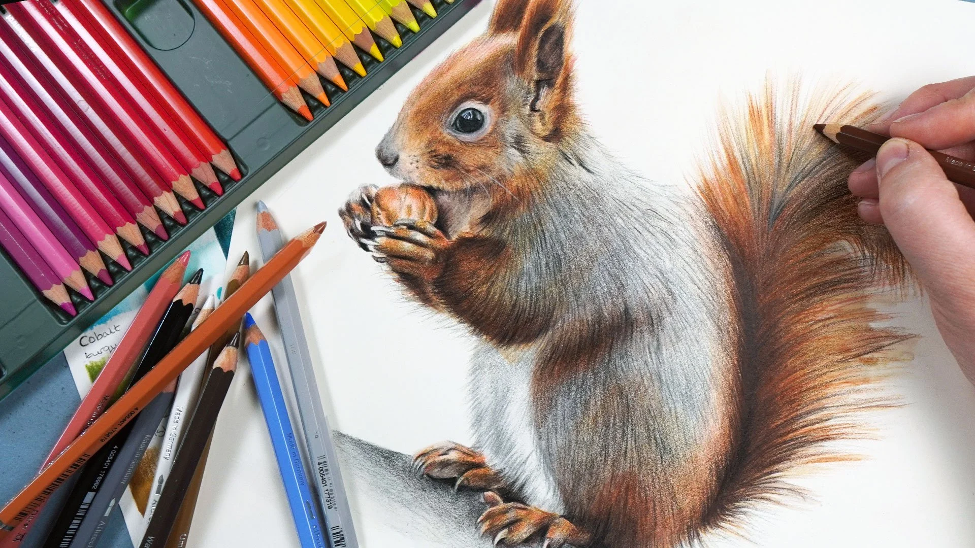 آموزش طراحی حیوانات: چگونه با مدادهای آبرنگ خز واقعی بکشیم