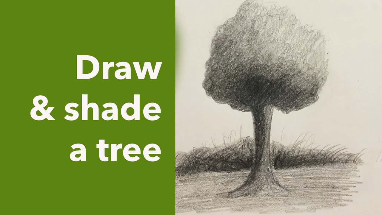 آموزش یک درخت را با مداد بکشید و سایه بزنید