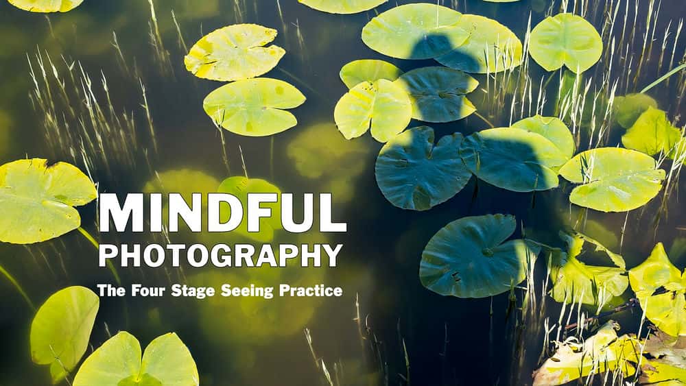 آموزش عکاسی ذهن‌آمیز: تمرین دیدن چهار مرحله