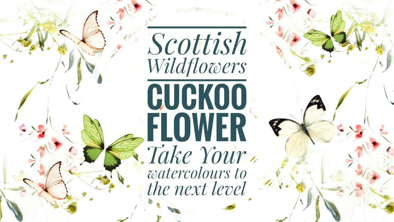 آموزش گل های وحشی اسکاتلندی - گل فاخته.