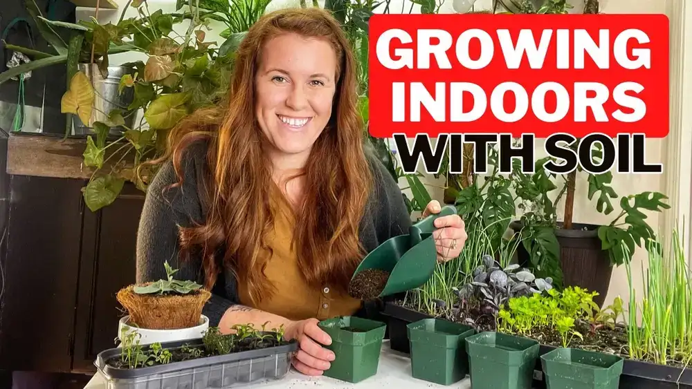 آموزش چگونه می توان سبزیجات را در داخل خانه با استفاده از خاک پرورش داد