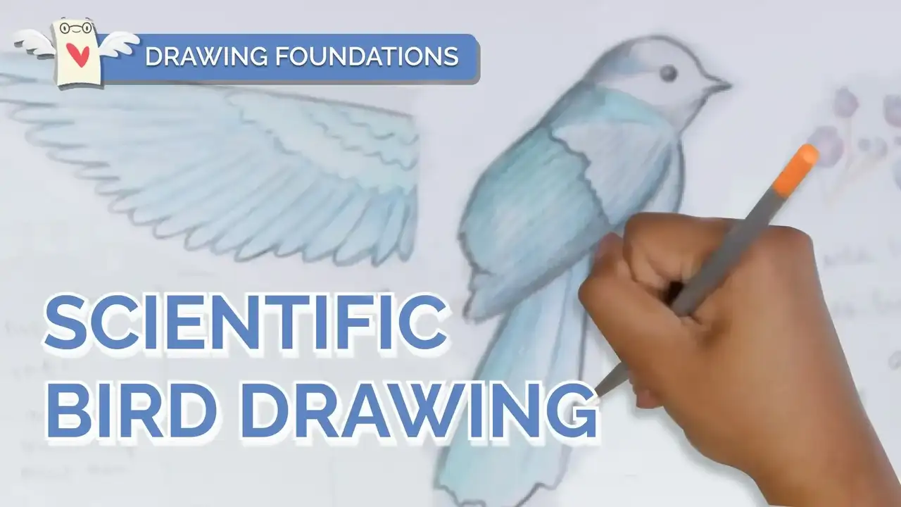 آموزش اصول طراحی: چگونه یک نقاشی علمی پرنده بکشیم