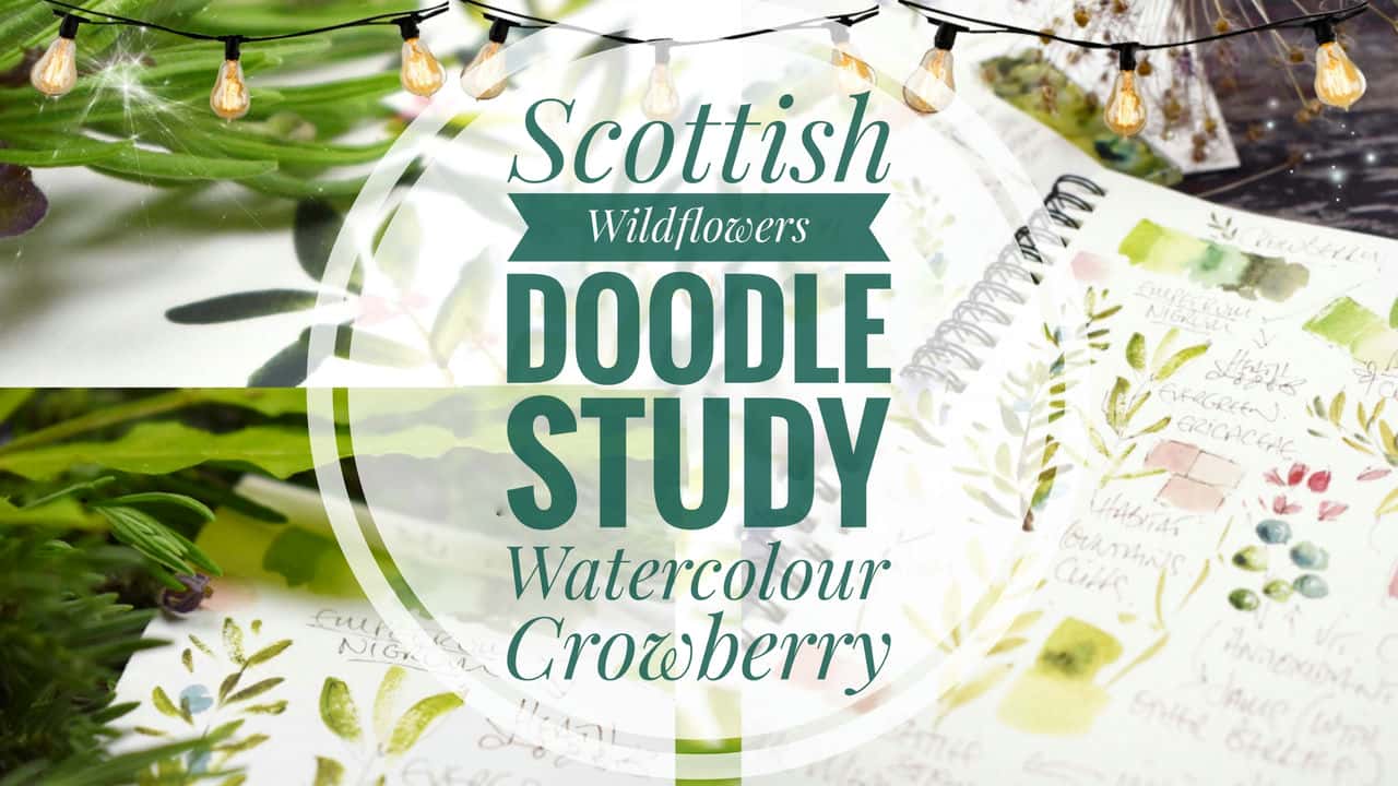 آموزش گل‌های وحشی اسکاتلندی - دودل کرابری با آبرنگ - 2 مطالعه